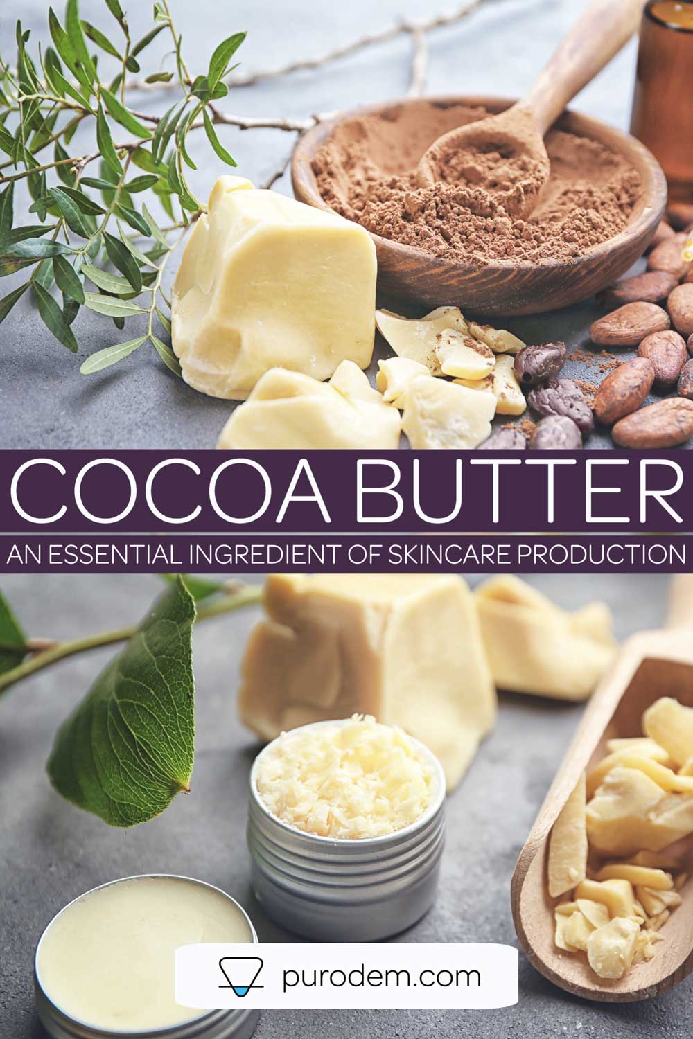 Cocoa Butter: How to use in Skincare Formulation 1 cocoa butter main