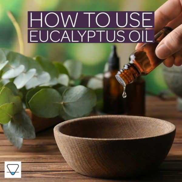 Eucalyptus Oil Uses in Aromatherapy & Skincare Applications