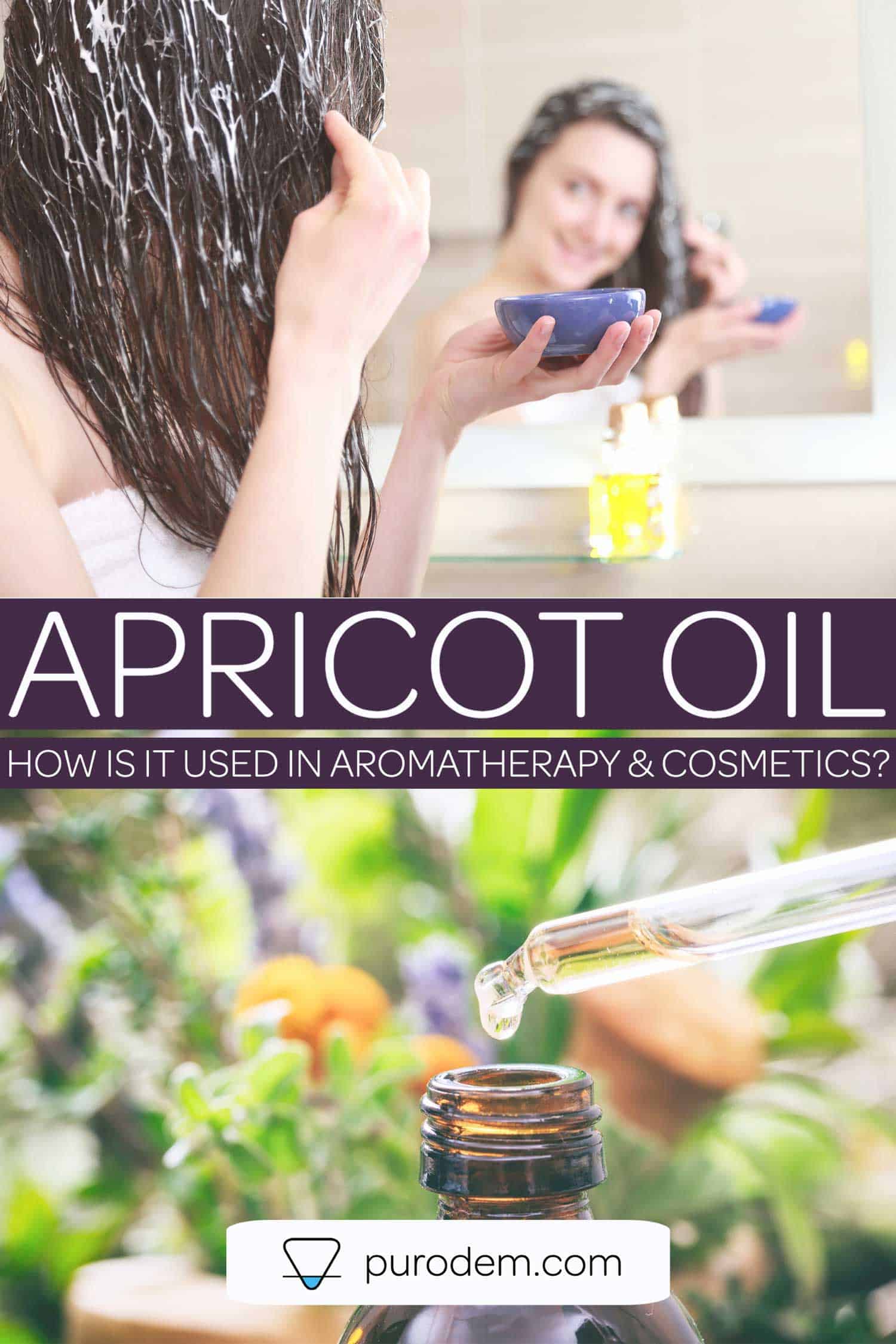 Apricot Oil: How is it used in Aromatherapy & Cosmetics? 1 apricot oil