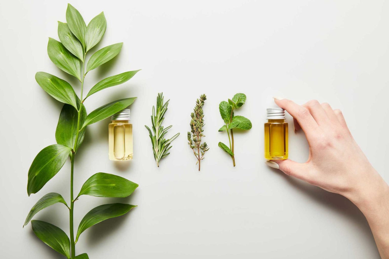 What to expect on a Clinical Aromatherapist Course Purodem
