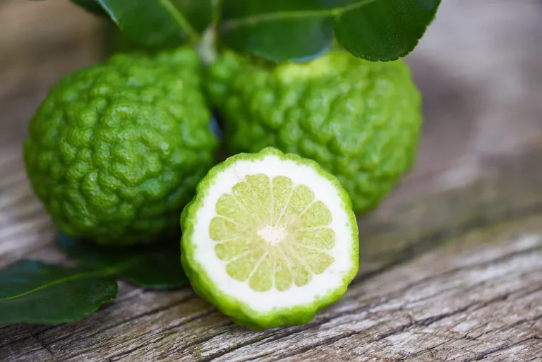 bergamot oil