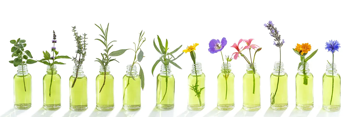 Blog 32 how to use essential oils