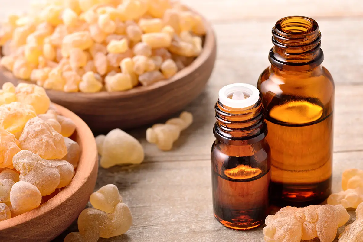 Frankincense Oil - The King of Essential Oils 1 frankincense 2
