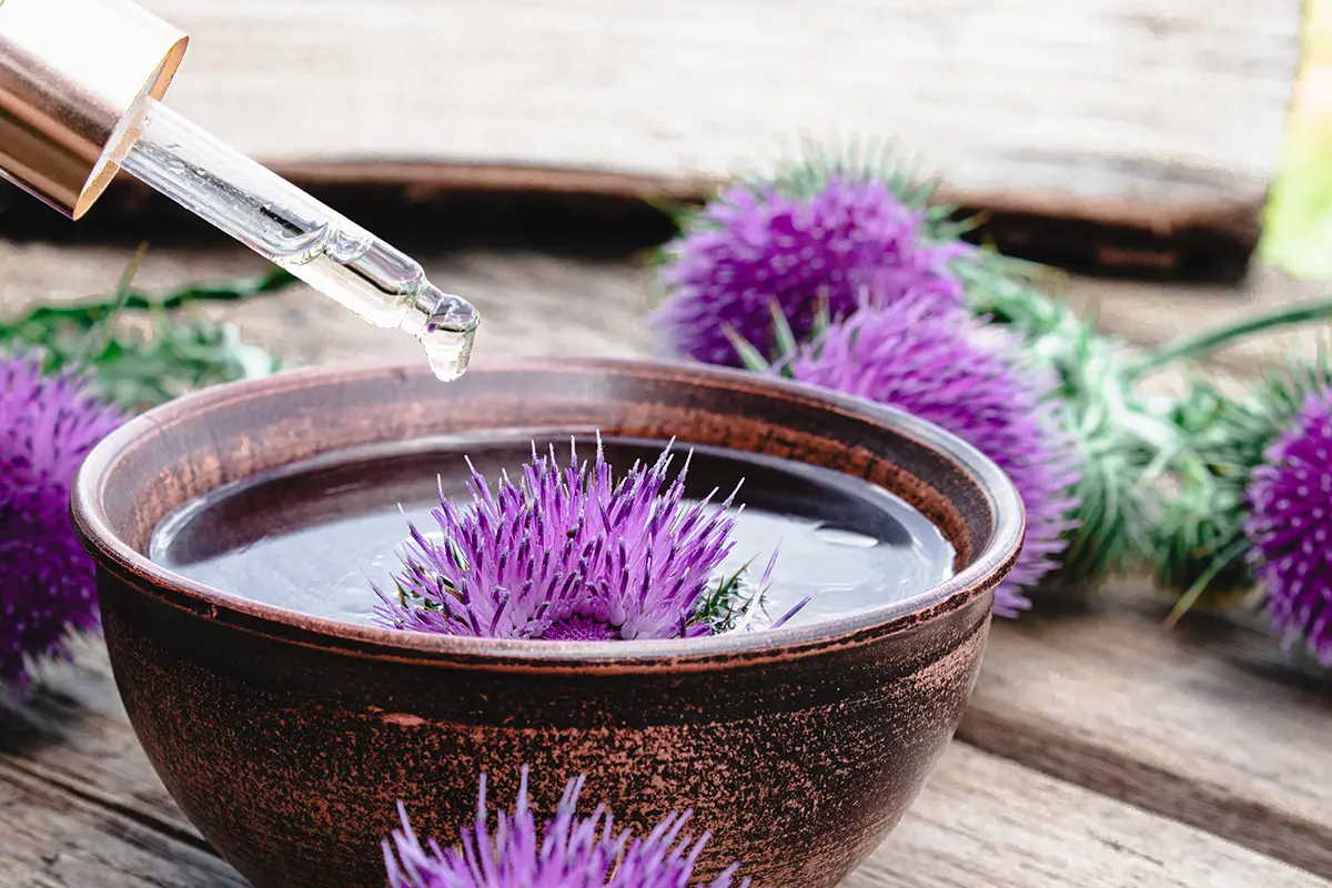Complete Guide to Carrier Oils 3 thistle oil