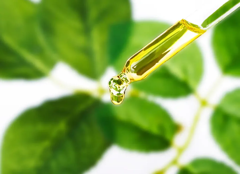 aromatherapy essential oil