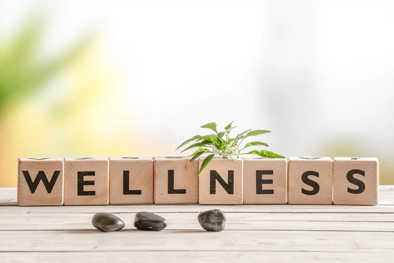 Essential Oils for Colds and Flu... Natural Remedies to the Rescue! 1 wellness