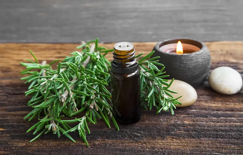 rosemary essential oil