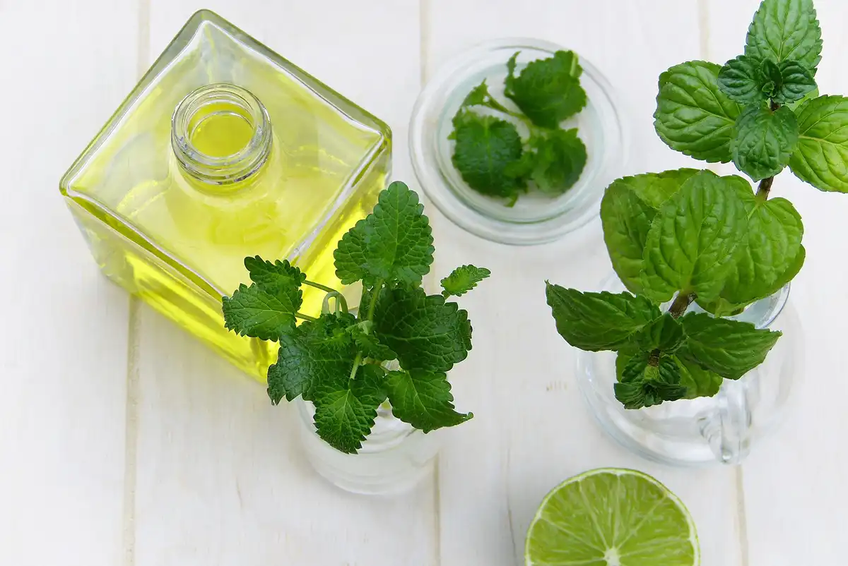 Spearmint essential oil.