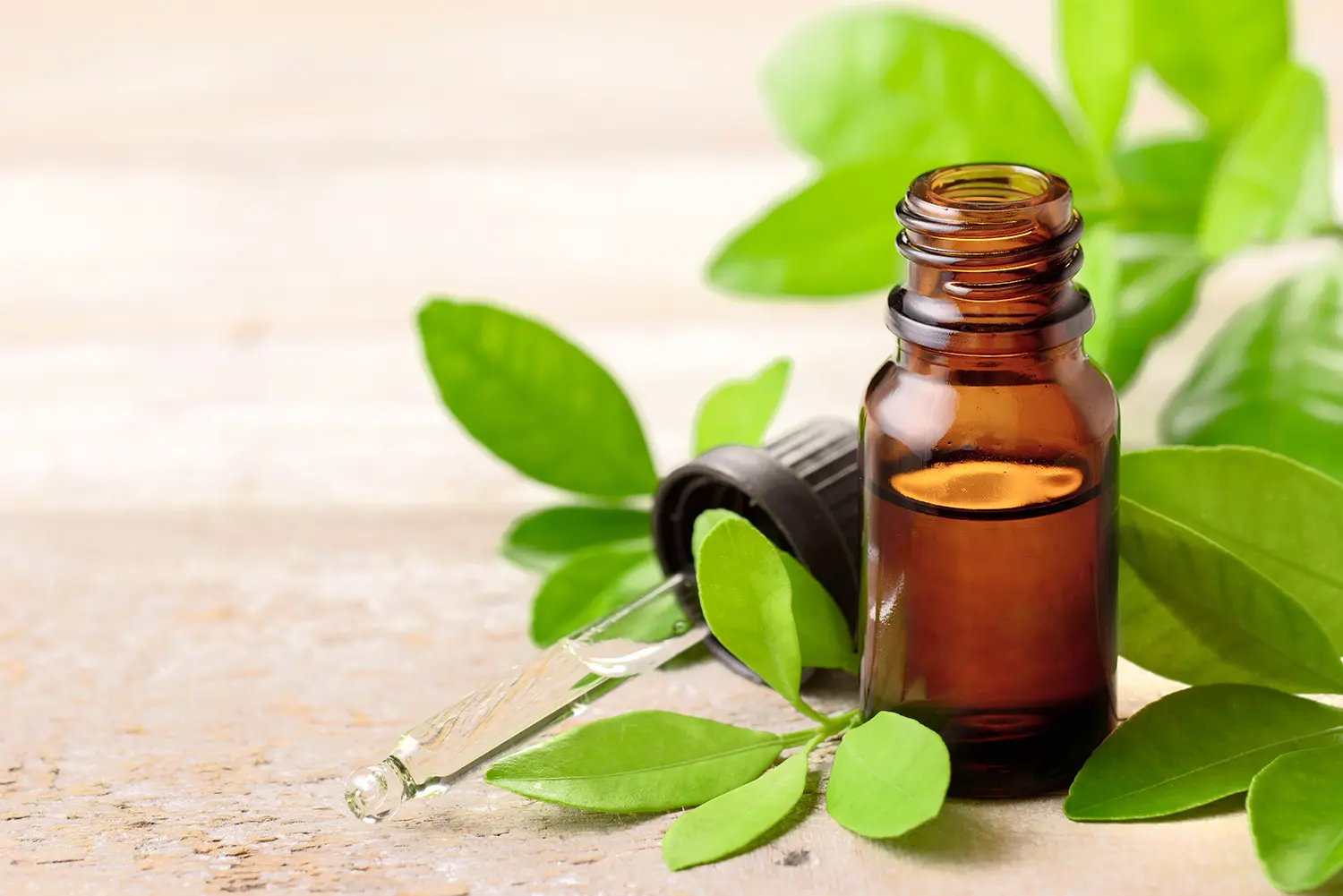 Petitgrain Essential Oil: Discover the Magic from Tree to Tranquility 2 Petitgrain essential oil, with oil-dropper and Petitgrain leaves.