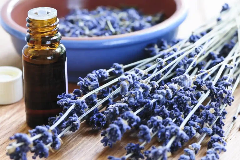 aromatherapy lavender