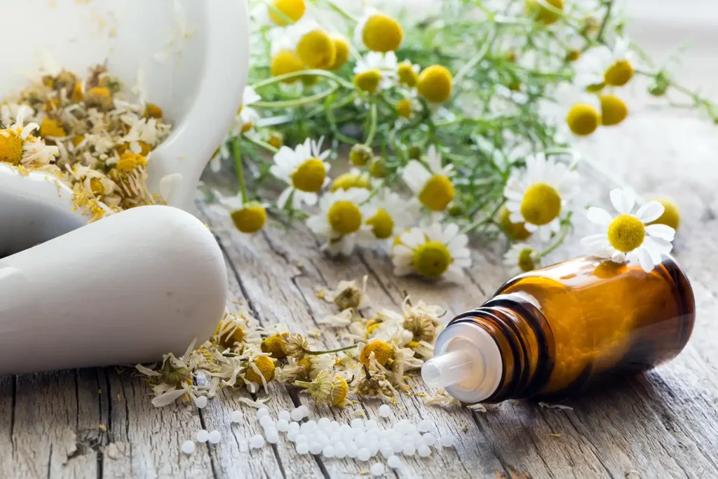 The Benefits of Chamomile Oil: The Gentle Giant 2 chamomile essential oil 2