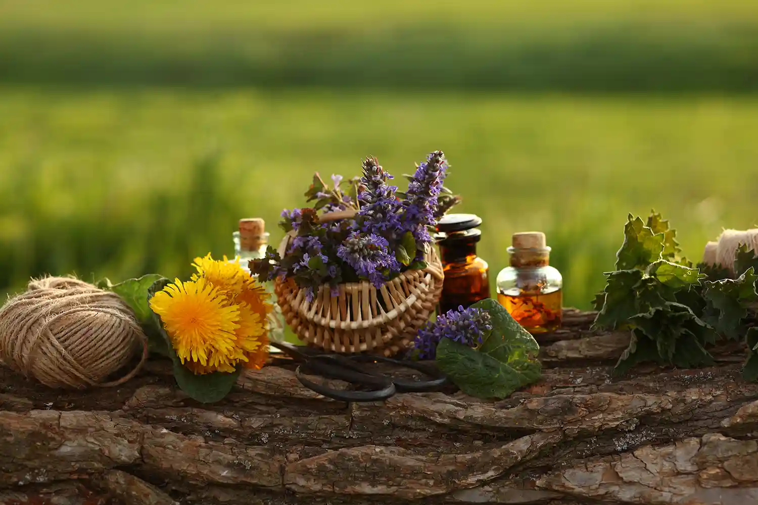 history of aromatherapy