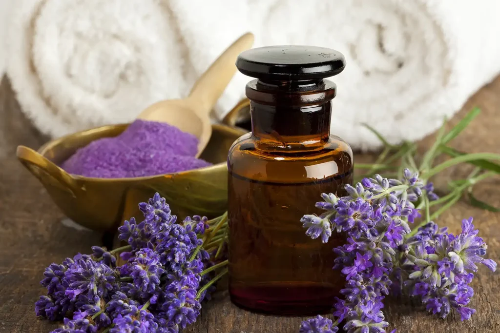 lavender essential oil 1