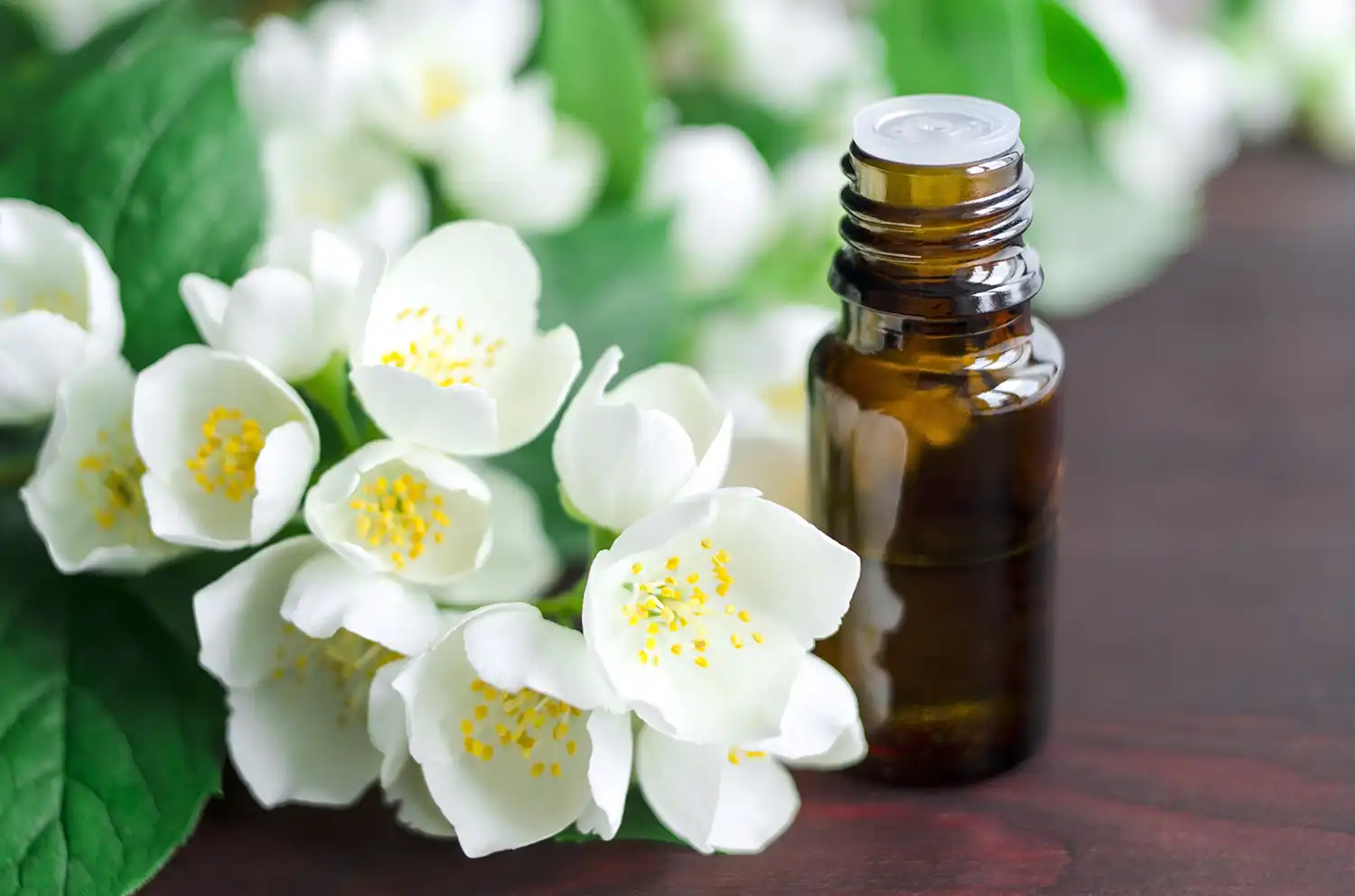 Neroli oil shop