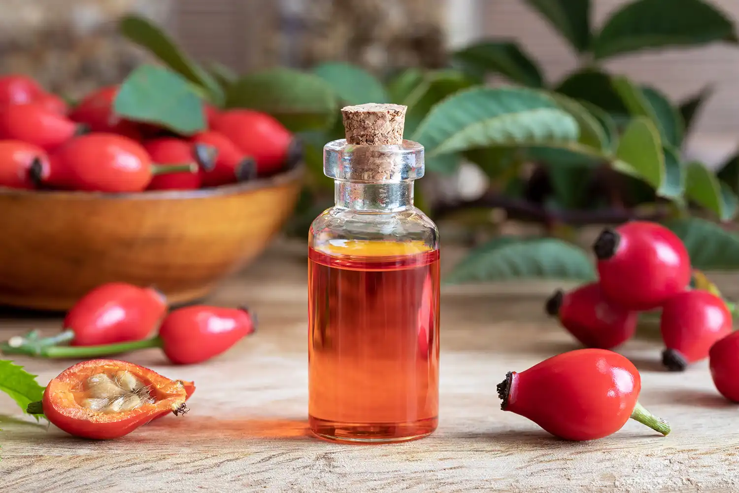 rosehip oil 1