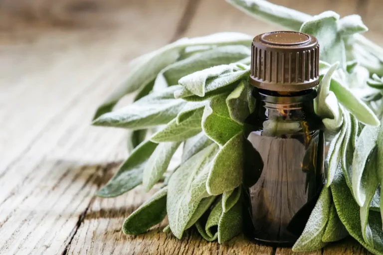 sage essential oil 1