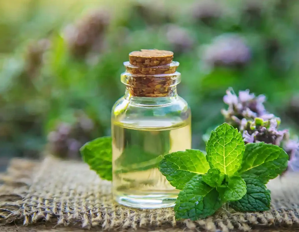 Peppermint oil 7