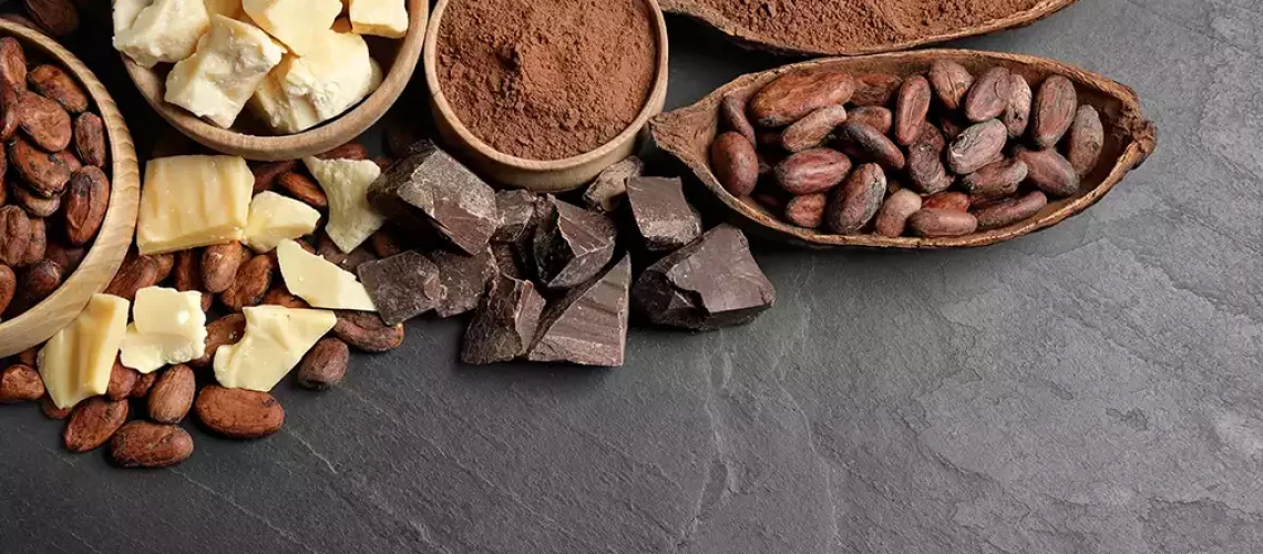 cocoa-butter-powder-2