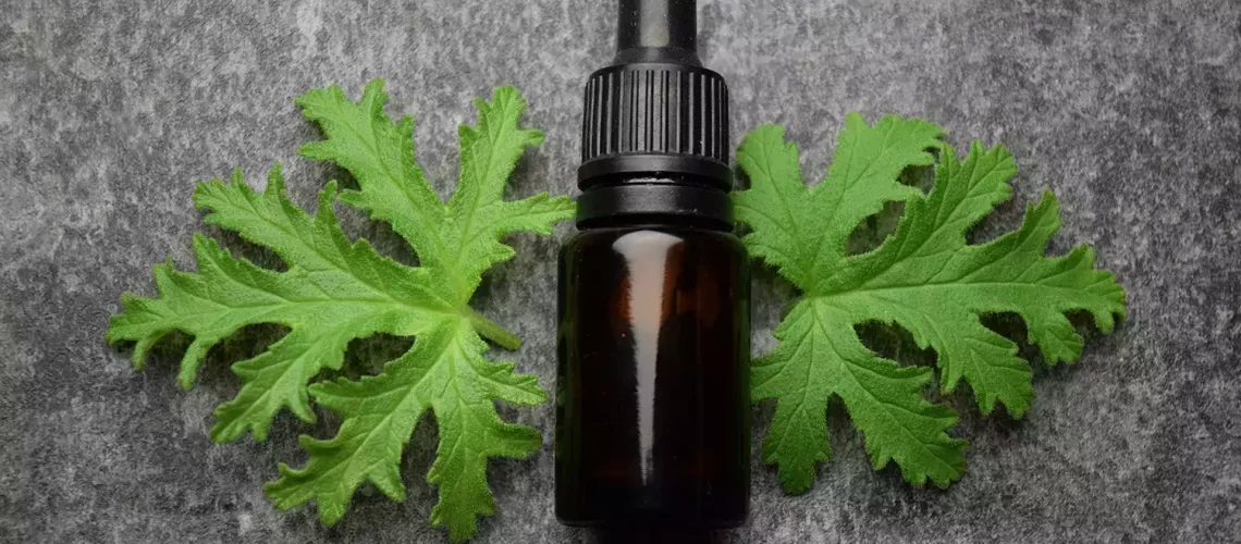 course in aromatherapy