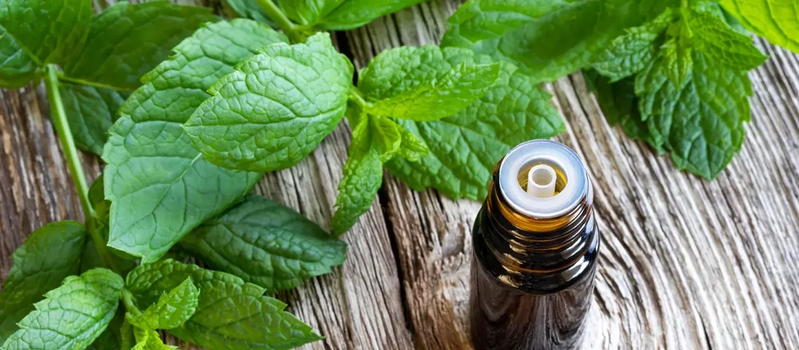 mint-essential-oil